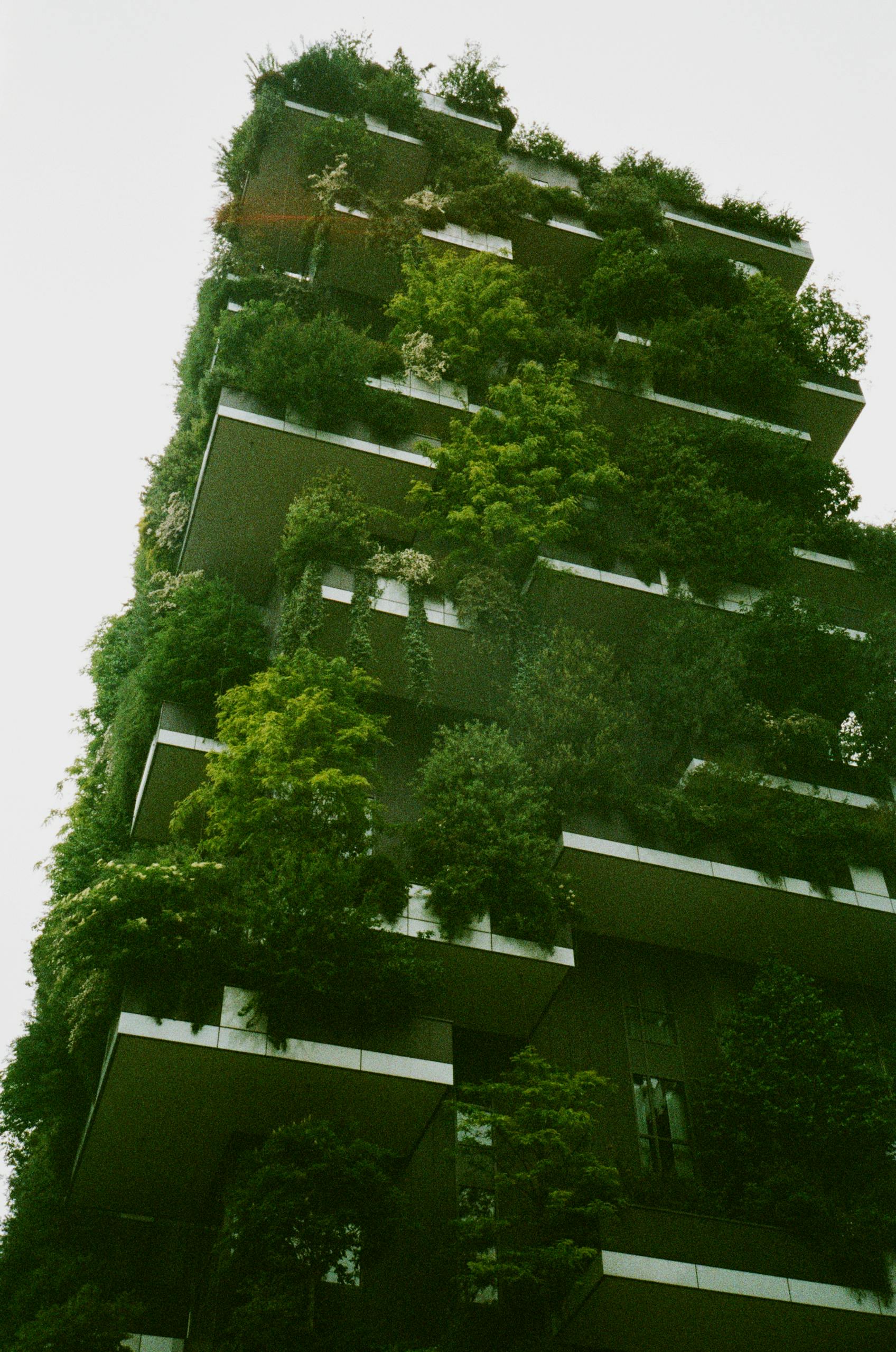 Green building with vertical garden